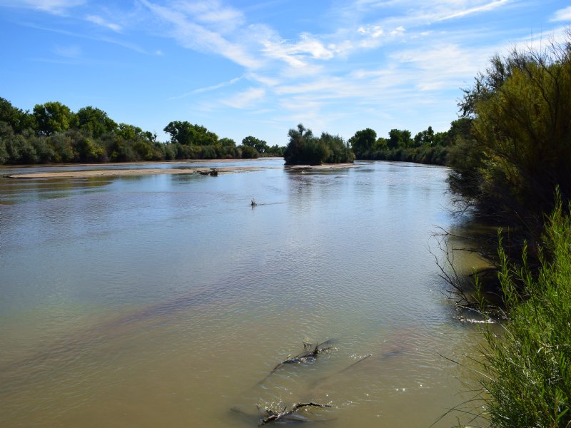 Arkansas River Farm and Orchard : Fowler : Pueblo County : Colorado