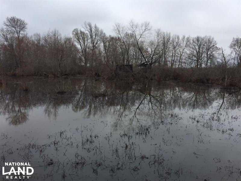 80 Acre Duck Hunting Farm Near : McCrory : Woodruff County : Arkansas