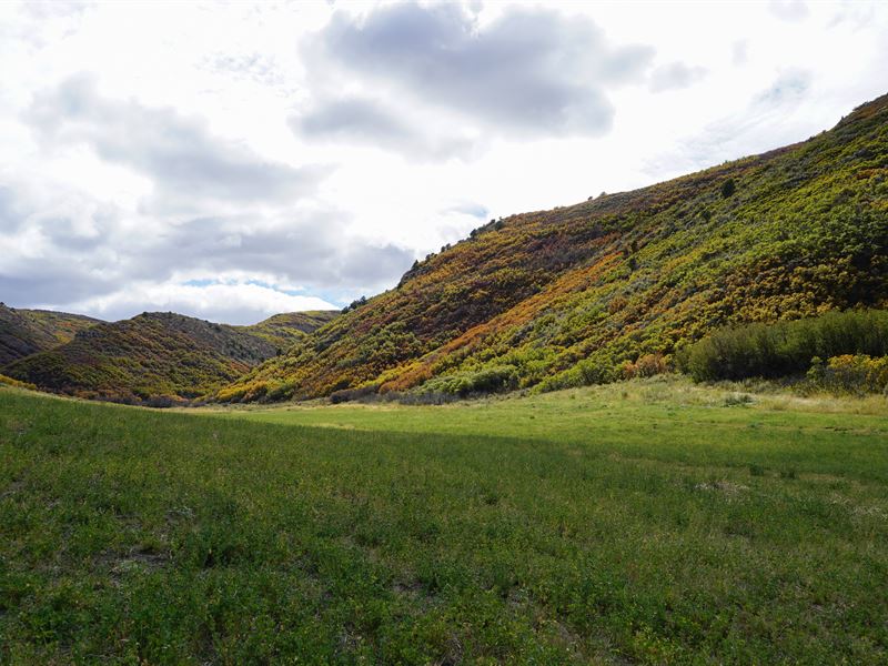 Christmas Tree Ranch : Craig : Moffat County : Colorado