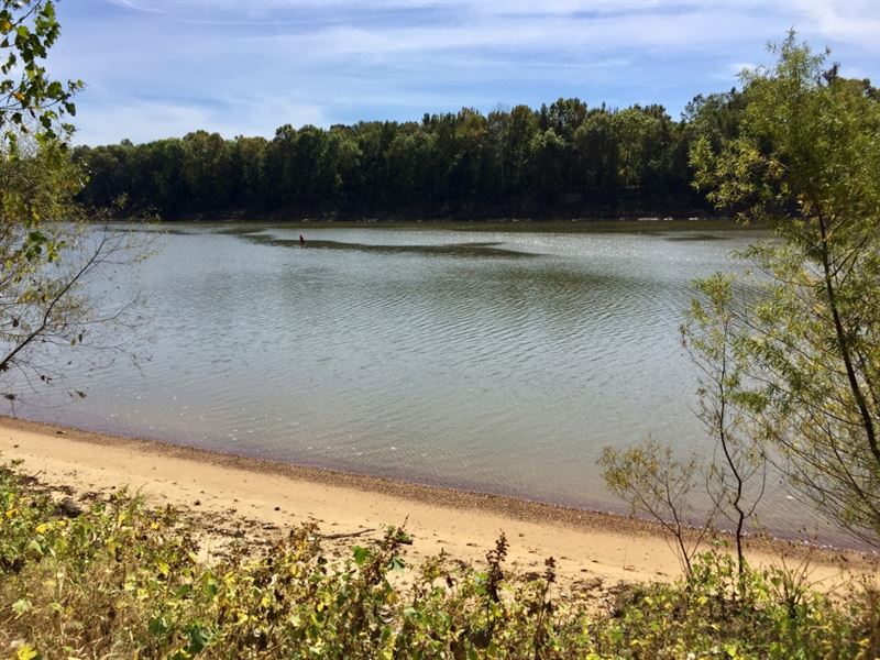 Tombigbee River Upper State Game : Jackson : Clarke County : Alabama