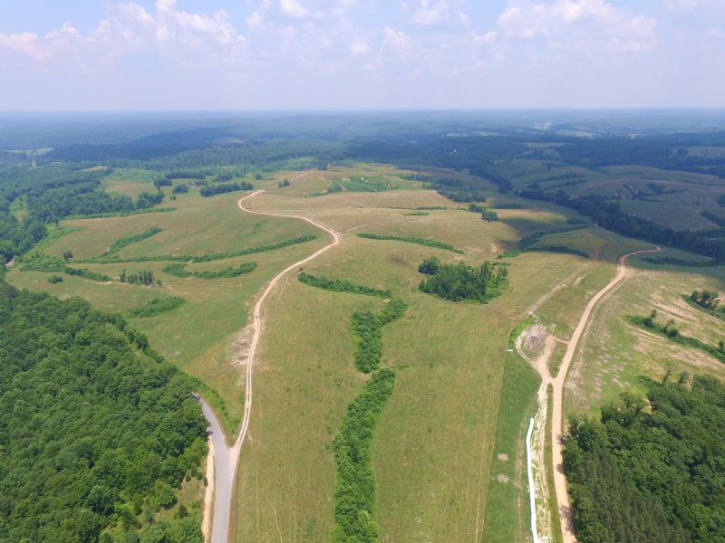 400 Acre Cattle Farm : Waverly : Humphreys County : Tennessee