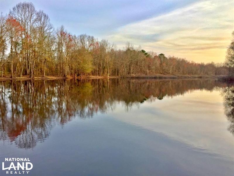 Burnsville Black Belt Farm Hunting : Selma : Dallas County : Alabama