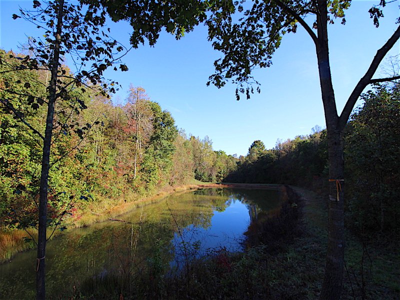 Murphy Remy Rd - 40 Acres : McArthur : Vinton County : Ohio