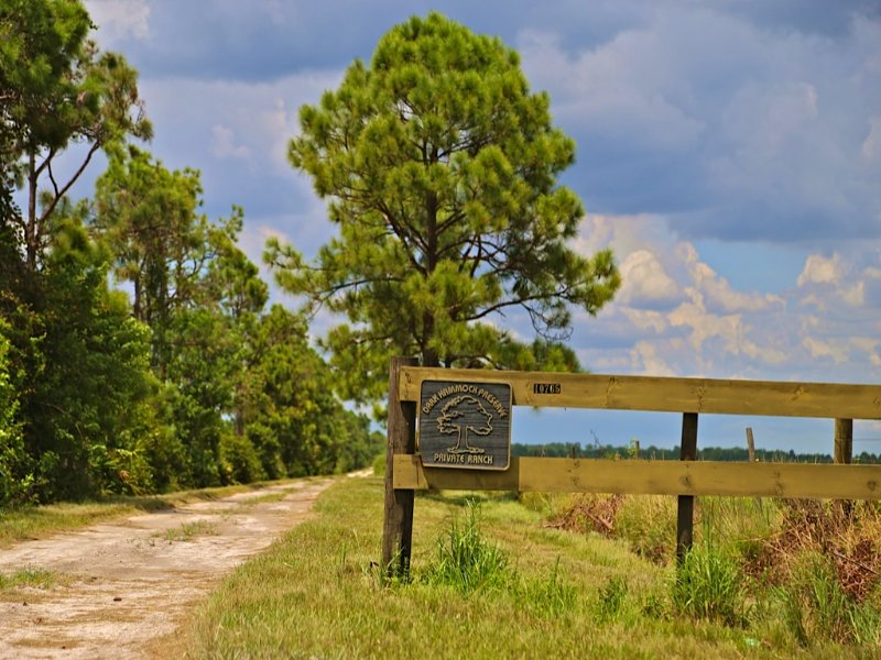 Dark Hammock Hunting Retreat, Ranch for Sale in Florida, 115651
