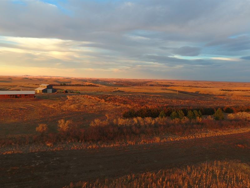 Double C Ranch Pheasants On The Riv, Ranch for Sale in South Dakota