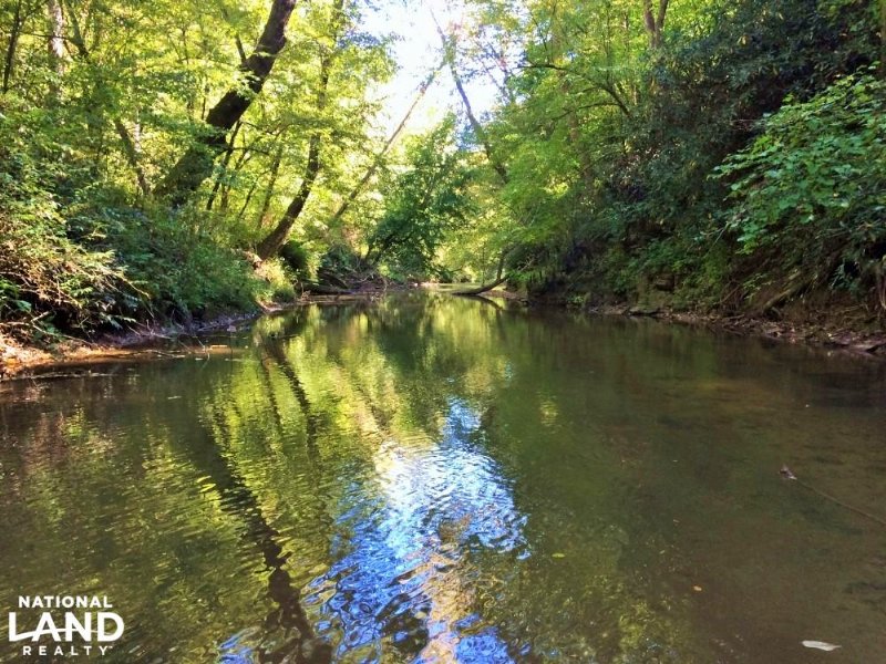 Irish Creek Recreational Timber Lan : Morganton : Burke County : North Carolina