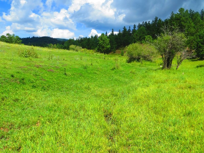24 Aspen Rose Ranch : Weston : Las Animas County : Colorado
