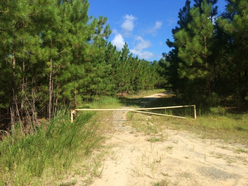 Goodwin, Williams and Walker Tracts : Canetuck : Pender County : North Carolina