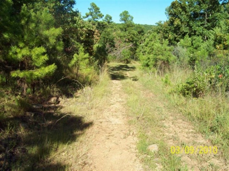 5 Acre Pine Mountain Ranch : Wilburton : Latimer County : Oklahoma