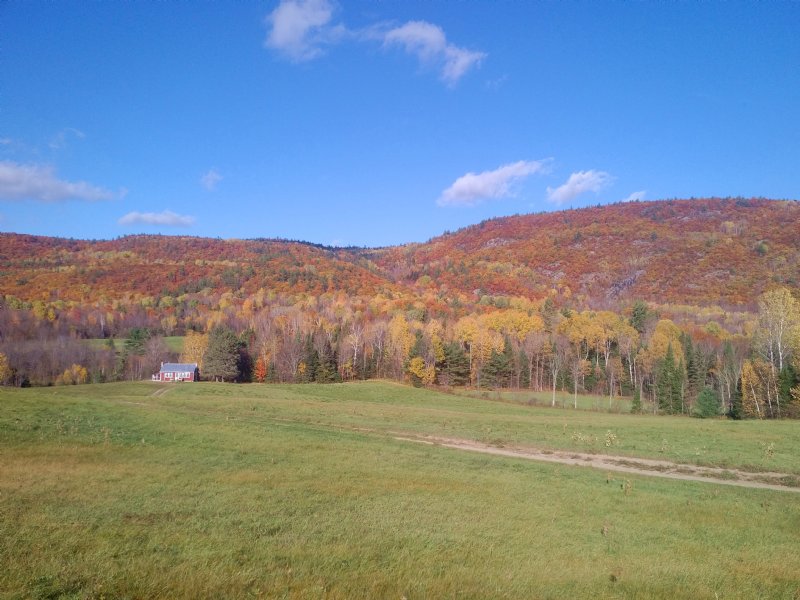 300 Acres Farm, Wood, Mountain Land : Chichester : Quebec : Canada