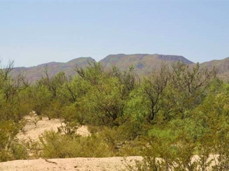 20 Acre Sunset Ranches Ranch for Sale by Owner in Sierra Blanca