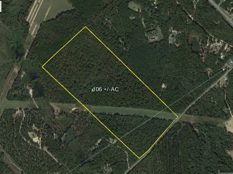 Jones Woods, Hunting / Homesite : Gray : Jones County : Georgia