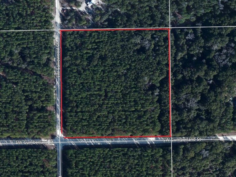 10 Acres - Nice Wooded Square Lot : Fort White : Columbia County : Florida