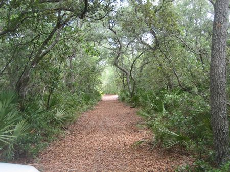 Greenway Retreat - 194 Acres : Salt Springs : Marion County : Florida