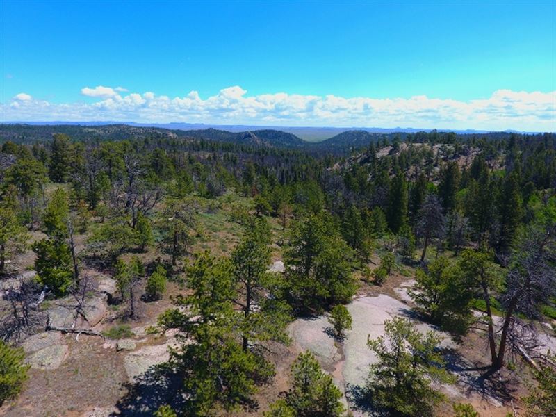 35 Acres in Shared Amenity Ranch : Tie Siding : Albany County : Wyoming