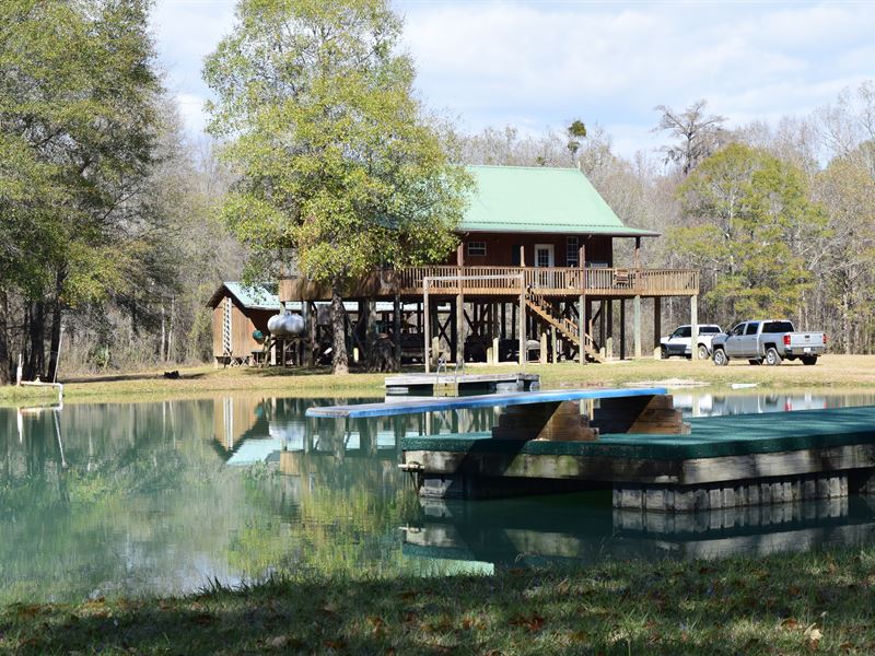 Ocmulgee River Gem : Jacksonville : Telfair County : Georgia