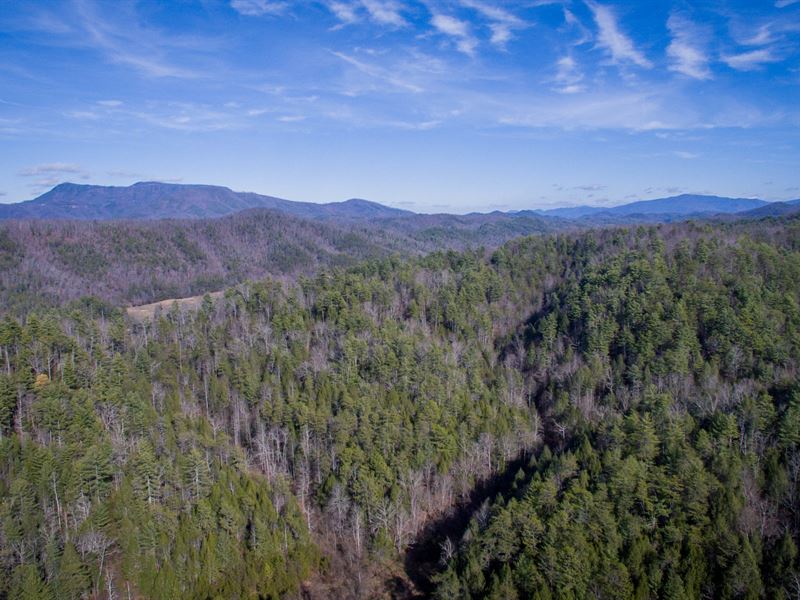 132 Acres Near Gatlinburg : Sevierville : Sevier County : Tennessee