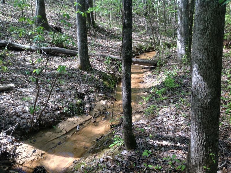 164 Acres in South Tuscaloosa CO : Moundville : Tuscaloosa County : Alabama