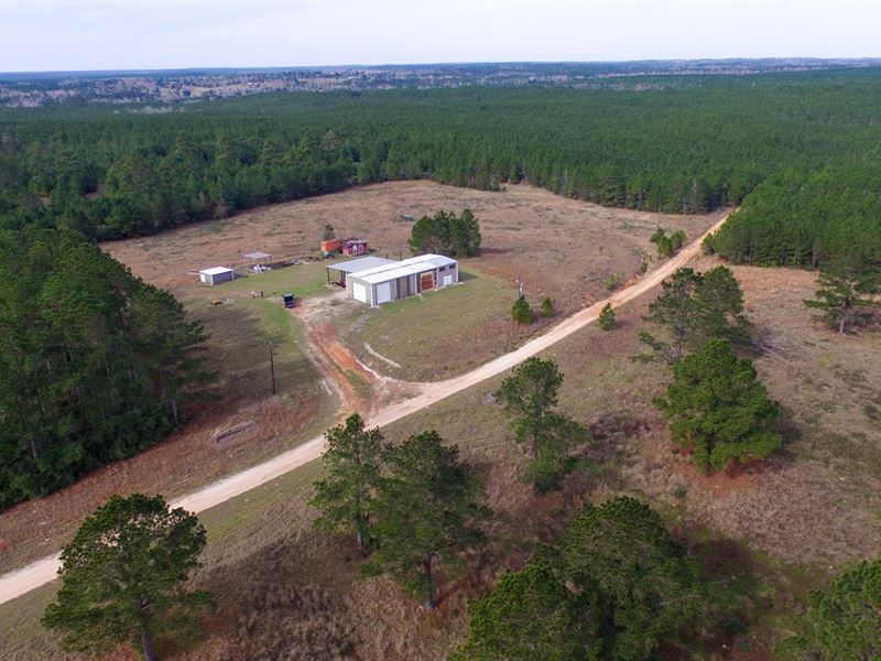 536 Acres Of Woodville Timber, Ranch for Sale in Texas, 118844 RANCHFLIP