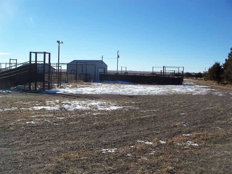 Sidney Grass, Dryland, and Cattle F : Sidney : Cheyenne County : Nebraska