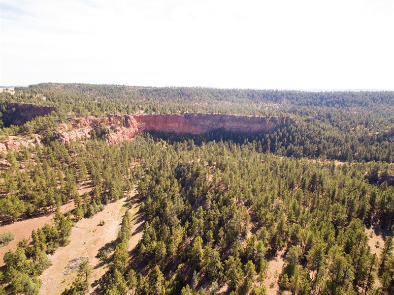 Anderson 50 : Custer : Custer County : South Dakota