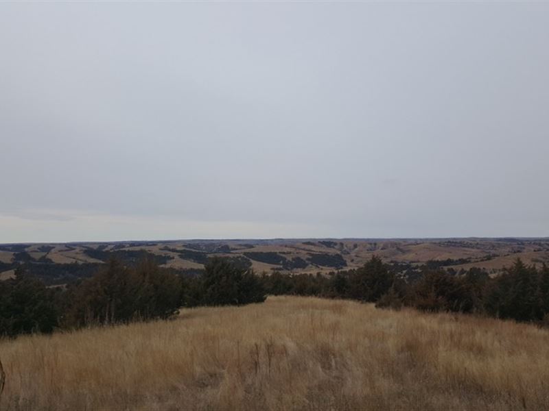 Lincoln County Canyon Pasture : Gothenburg : Lincoln County : Nebraska