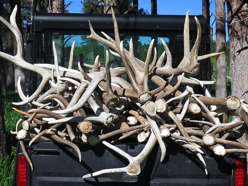 Rocky Elk Ranch : Newcastle : Weston County : Wyoming