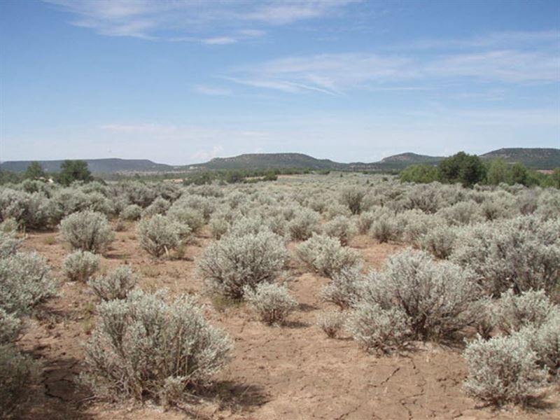 40 Acres Near The Apishapa River : Thatcher : Las Animas County : Colorado