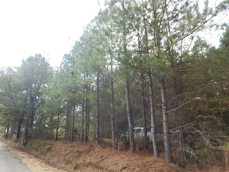 17 Acres On Magee Hill Rd : Tylertown : Walthall County : Mississippi