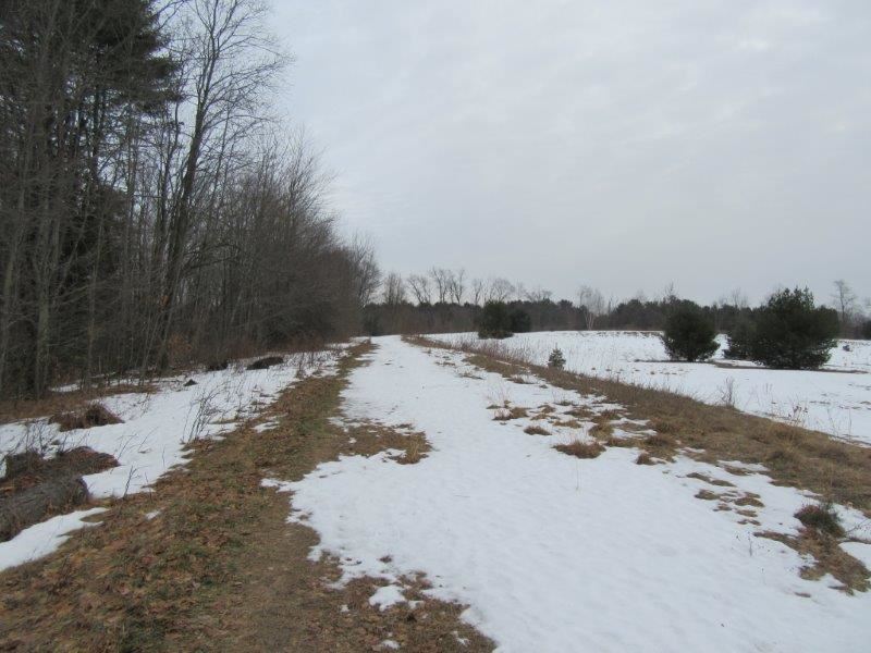 37 Acres Syracuse Ny Oneida Lake : Palermo : Oswego County : New York