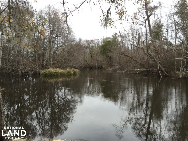 1953 Acres on Lynches River : Johnsonville : Florence County : South Carolina