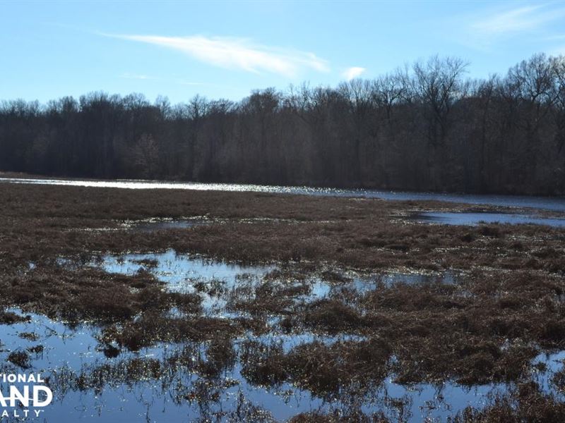 66.06 Acre Duck Hunting Land Adjoin : Brinkley : Monroe County : Arkansas