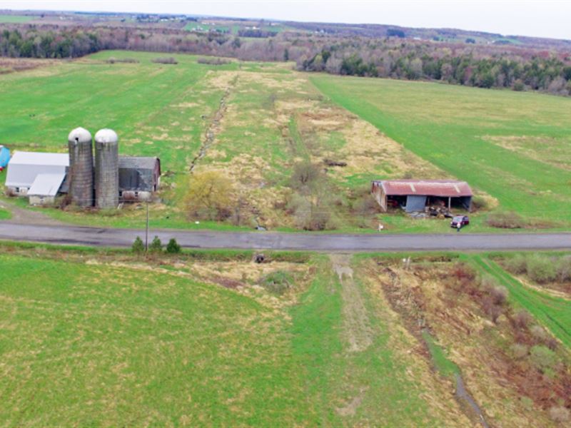 62 Acres Farmland Barn Arcade Ny : Arcade : Wyoming County : New York