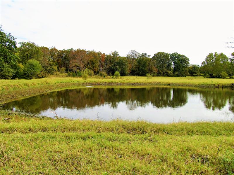 Beautiful 148 Acres & Custom Home : Stonewall : Johnston County : Oklahoma