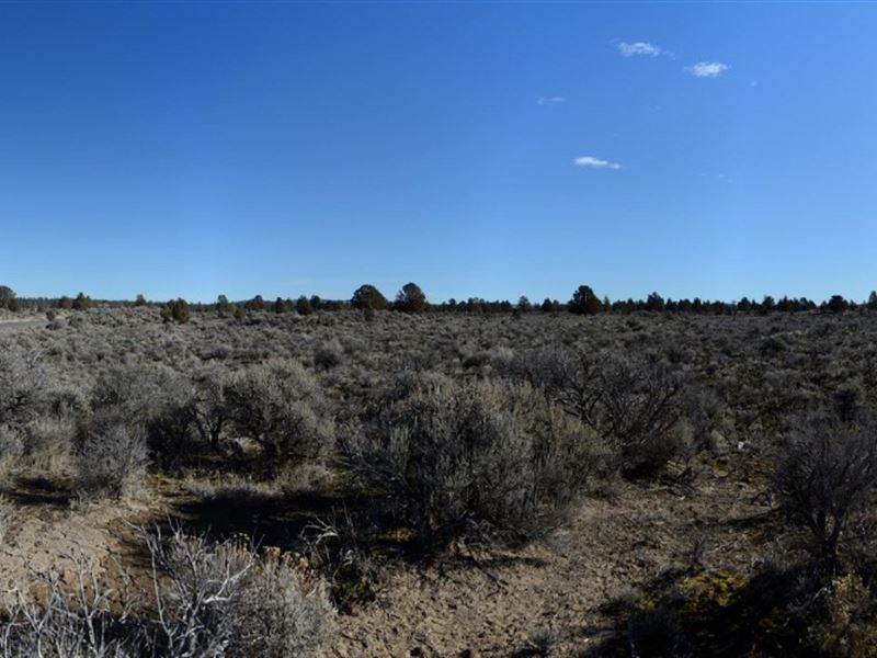 18.26 Acres in Silver Lake Oregon : Silver Lake : Lake County : Oregon
