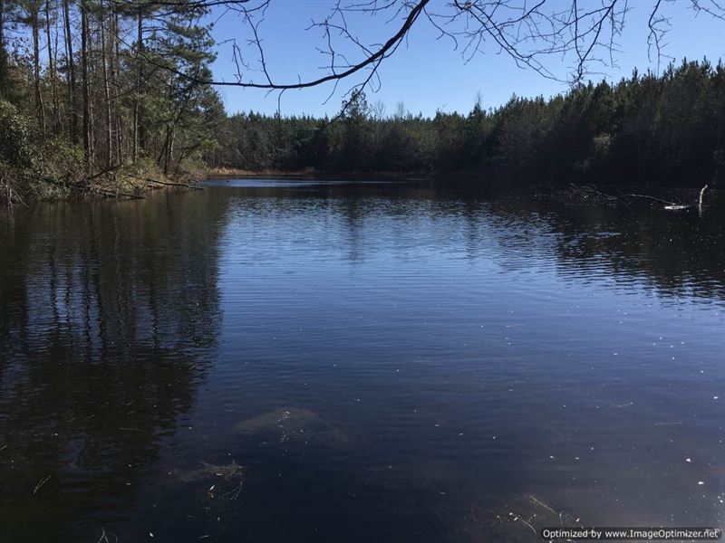 Premier Hunting in Sw Mississippi : Heidelberg : Jasper County : Mississippi