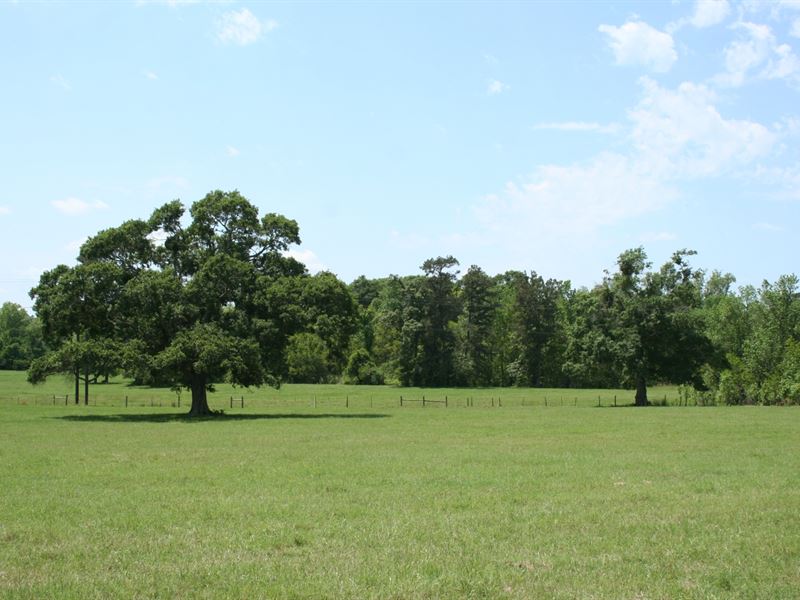 Fife 165 : Montgomery : Montgomery County : Texas