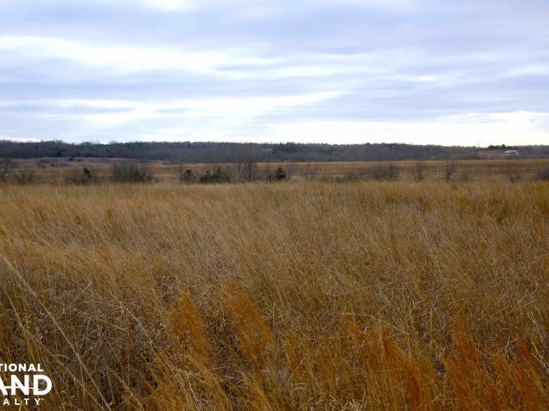 Mound City Crp, Timber and Hunting : Mound City : Linn County : Kansas