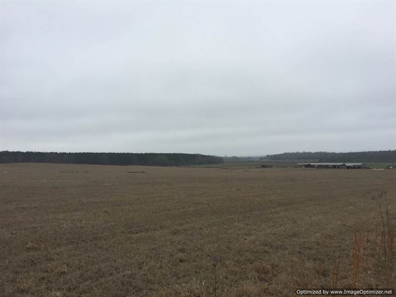 Turn-Key Pastureland : Durant : Holmes County : Mississippi