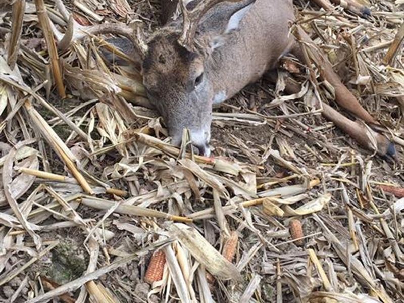 Deer Hunting Camp in Sw Wi : Eastman : Crawford County : Wisconsin