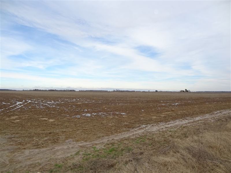351 Ml Acre Farm : McCrory : Woodruff County : Arkansas