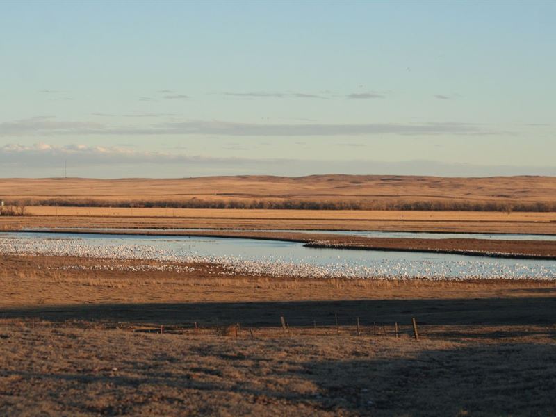 Shallow Waterfowl Hunting Habita : Crook : Logan County : Colorado