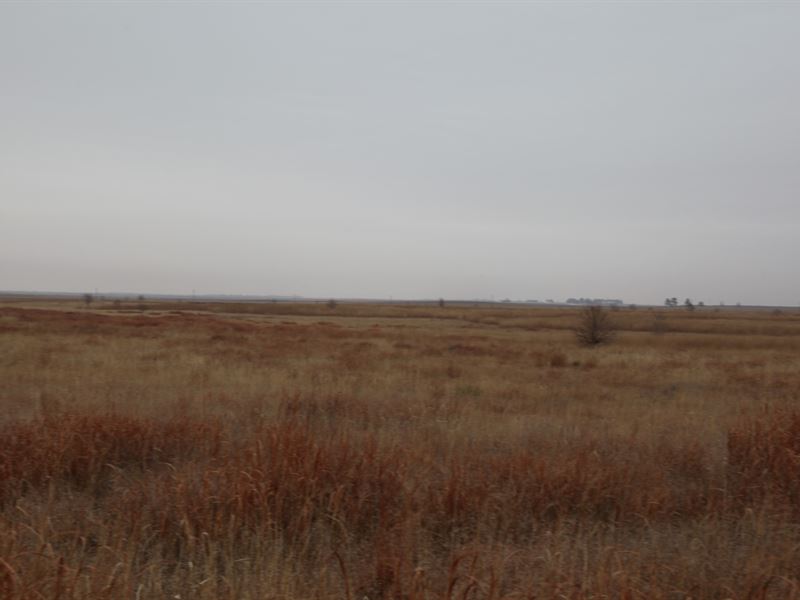 Adams County Expired Crp : Byers : Adams County : Colorado