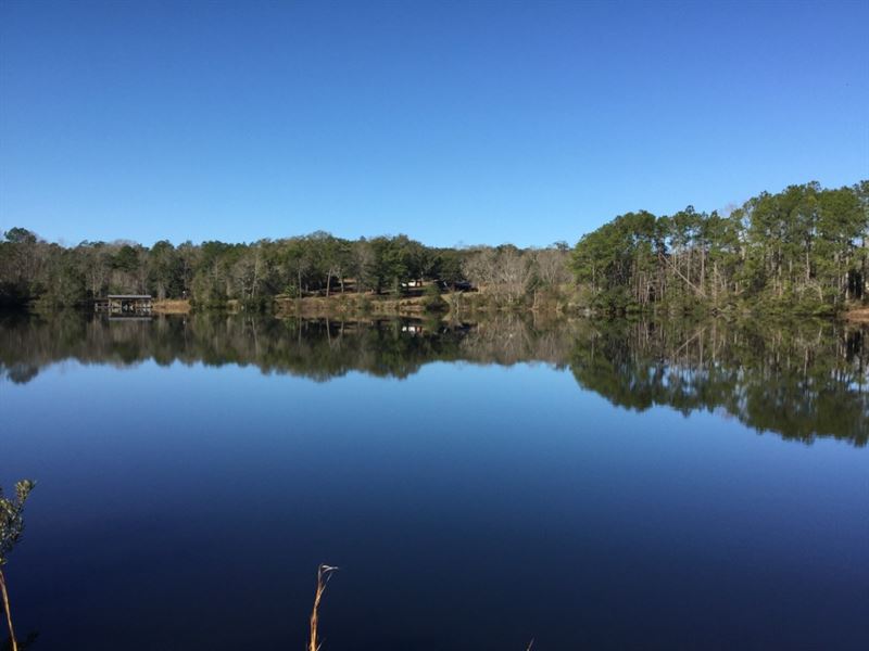 Crepe Myrtle Farm and Lakes : Molino : Escambia County : Florida