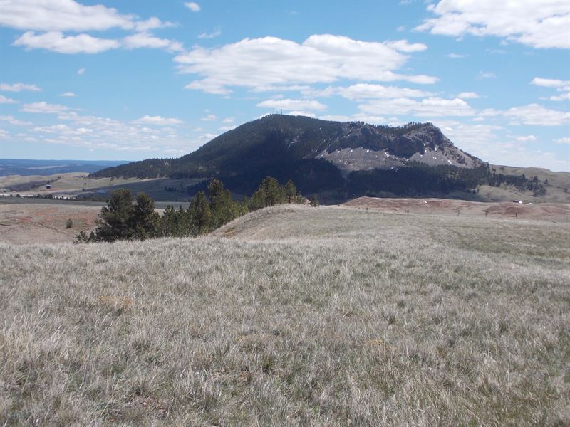 Beautiful 41+ Acres : Sundance : Crook County : Wyoming