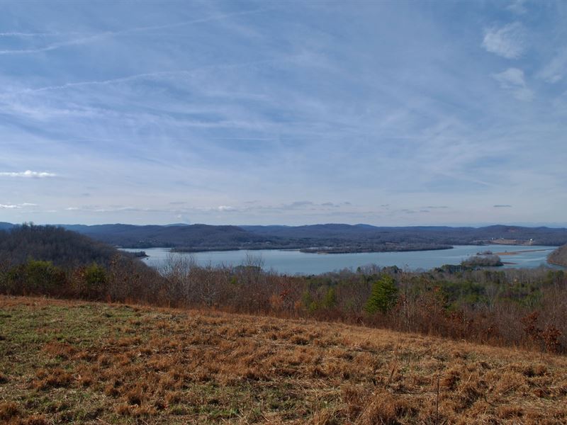 Watts Bar Lakefront Land Auction : Kingston : Roane County : Tennessee