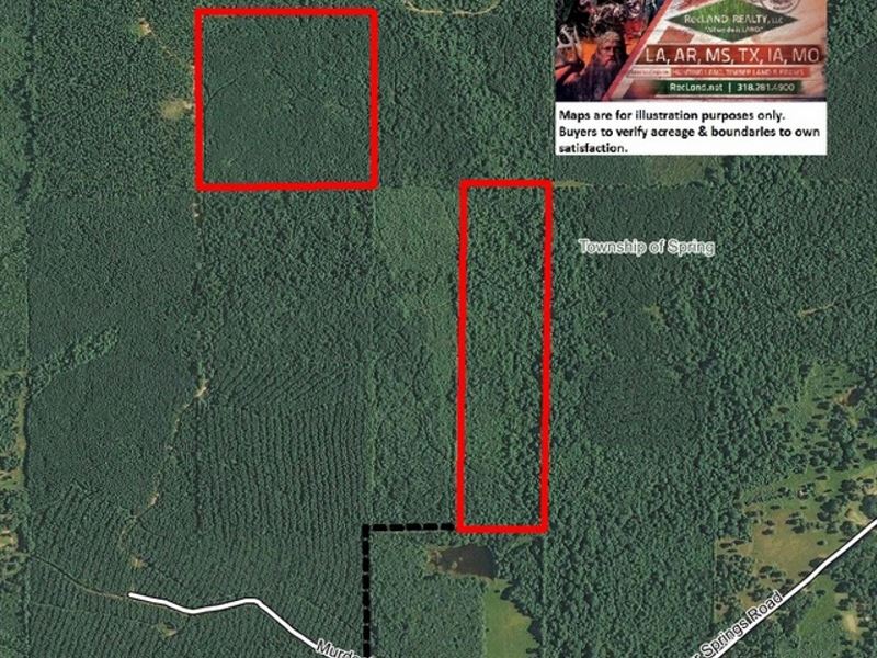 80 Ac - Timberland & Hunting : Pine Bluff : Jefferson County : Arkansas