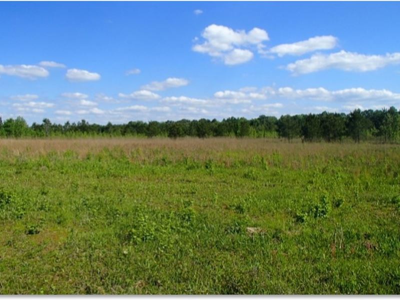 340 Acres in Oktibbeha County : Starkville : Oktibbeha County : Mississippi