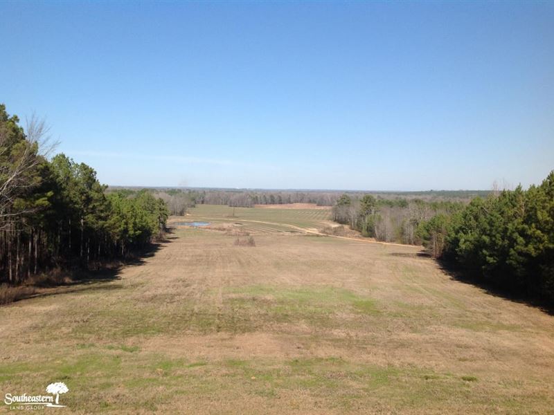 1149 Acres Hunting Land with Lodge : Benton : Dallas County : Alabama