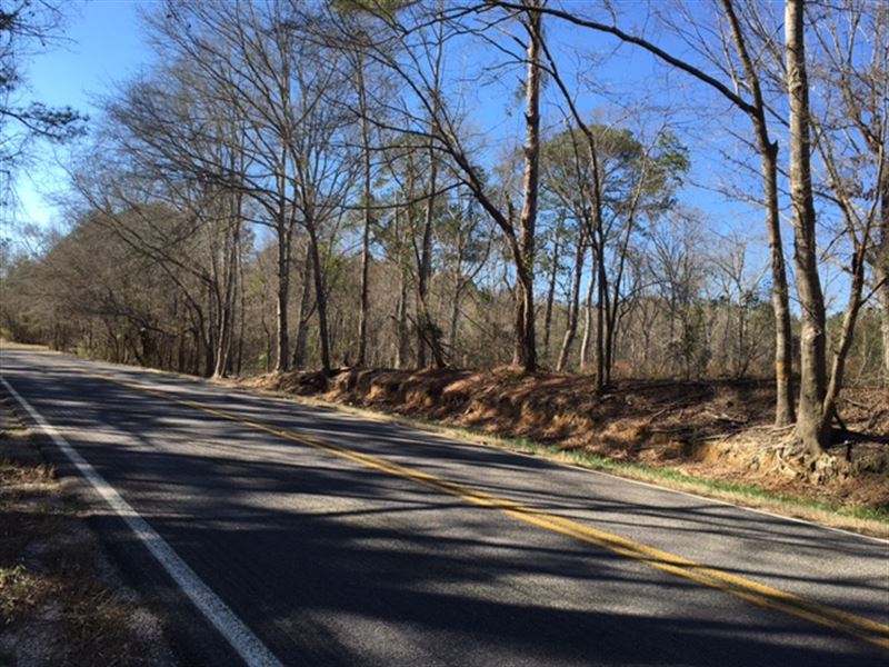 Saco Alabama Tract : Union Springs : Bullock County : Alabama